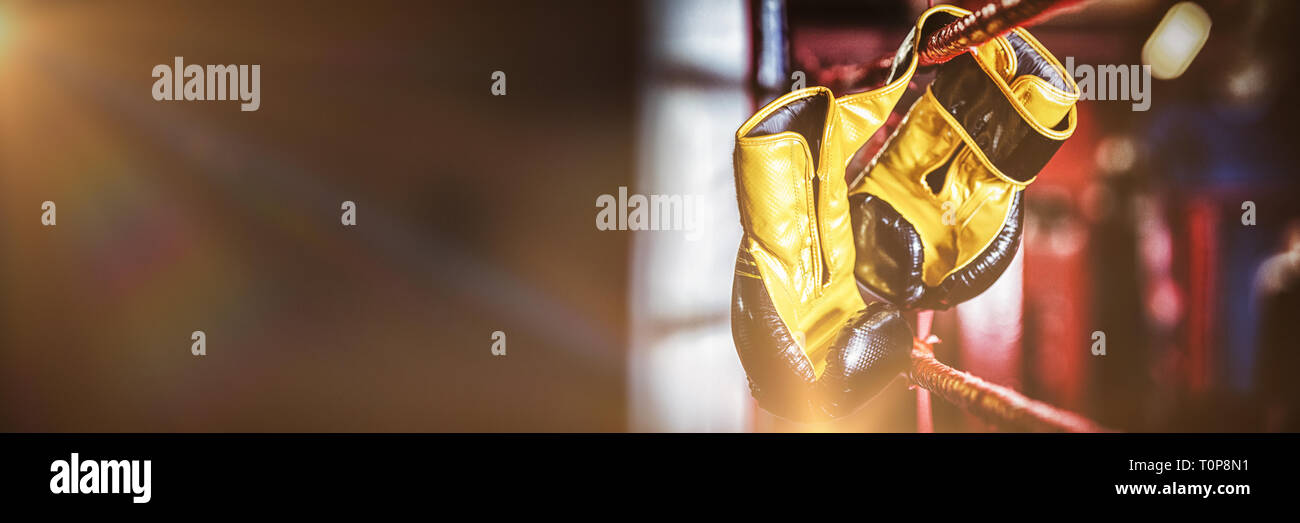 Yellow boxing gloves hanging off the boxing ring Stock Photo