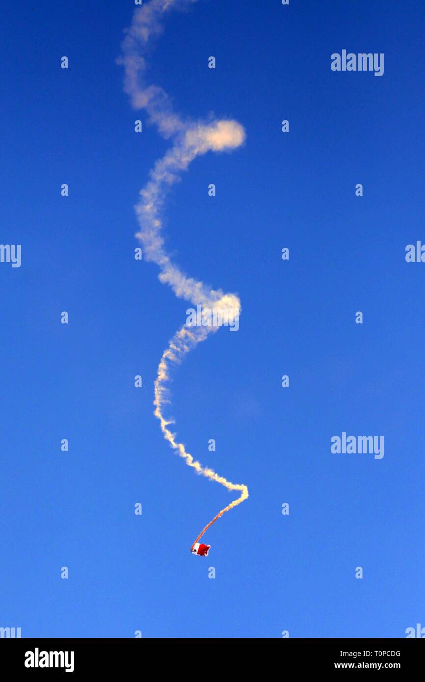 Islamabad, Pakistan. 21st Mar, 2019. A Pakistan army para-trooper performs during the rehearsal of the Pakistan National Day parade in Islamabad, capital of Pakistan, March 21, 2019. Credit: Ahmad Kamal/Xinhua/Alamy Live News Stock Photo