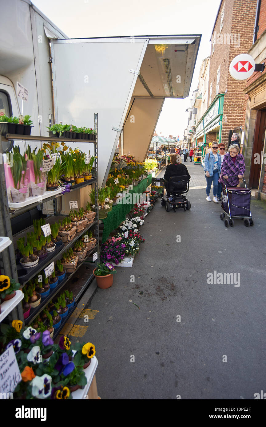 Disabled Shopper looking at a flower stall in an outdoor market enjoying the warm spring weather at the Driffield Street Market. Stock Photo