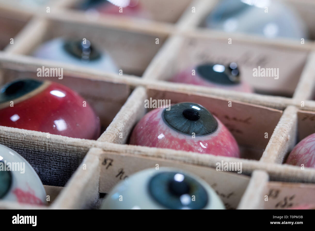 Rostock, Germany. 11th Feb, 2019. A part of the 132 pathologies of the historical glass eye