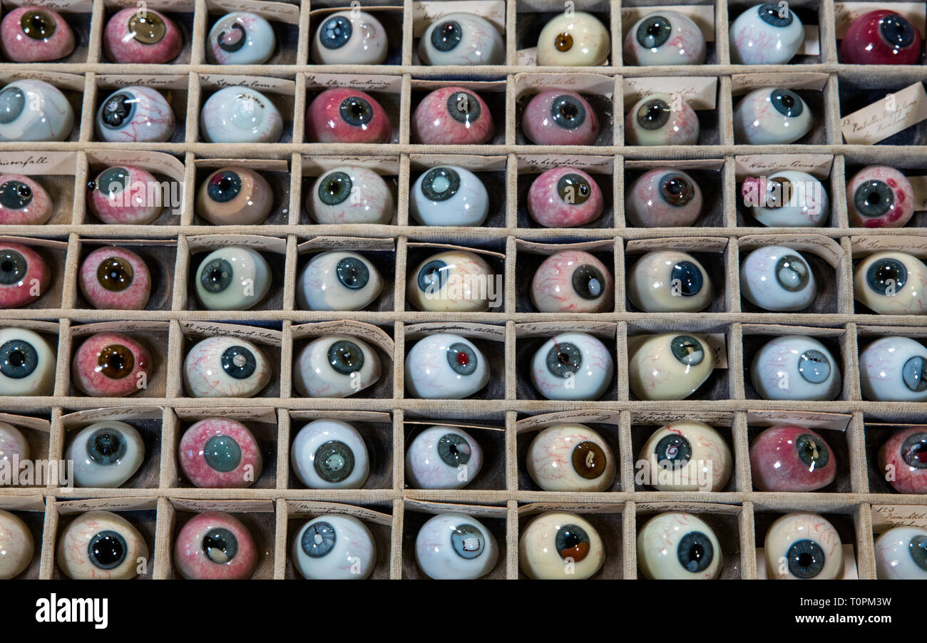 Glass eyeballs hi-res stock photography and images - Alamy