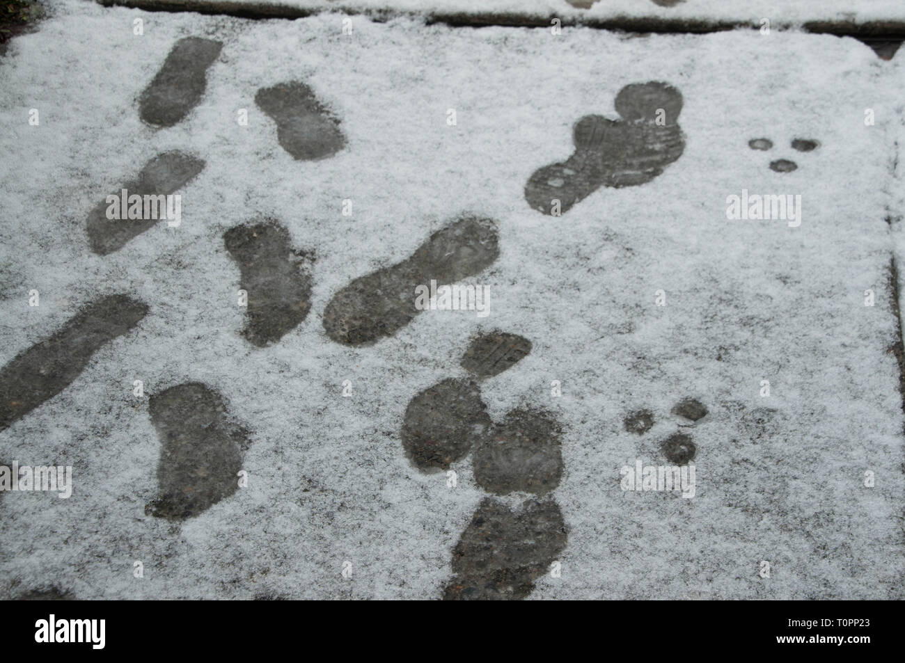 Footprints on a walkway after a fresh fallen snow in Monroe,Washington. Stock Photo