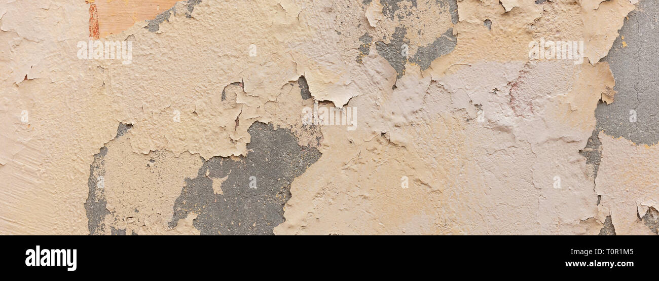 Beige color, painted and faded wall texture grunge background, banner Stock Photo