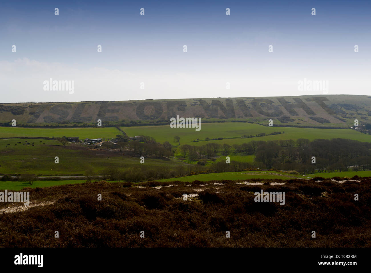 Heather isle of wight hi-res stock photography and images - Alamy