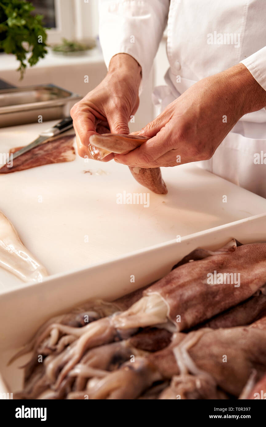 Octopus wird von einem Koch fuer die Weiterverarbeitung gesaeubert und vorbereitet. Seine beiden Haende sind bei der Arbeit zu sehen. Stock Photo