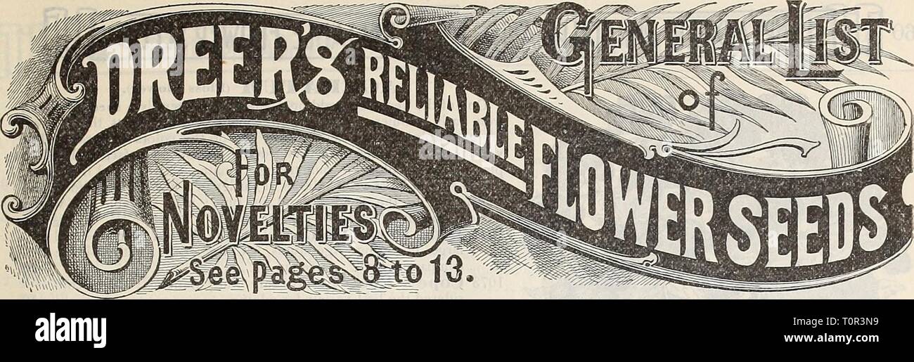 Dreer's 1901 garden calendar (1901) Dreer's 1901 garden calendar  dreers1901garden1901henr Year: 1901  Our list has been carefully revised and all inferior varieties discarded. For the convenience of our customers arid to facilitate the filling of orders, we use a system of numbering. In ordering it is only necessary to give the number of packets wanted and the corresponding number in the catalogue, viz.: 1 pkt. 1010, 10 cts.; 3 pkts. 1061, 15 cts., means one packet Abutilon, mixed, 10 cts.; 3 packets Adonis Flos, 15 cts. ABRONIA (Saud Verbena). Pretty trailing annuals, producing clusters of s Stock Photo