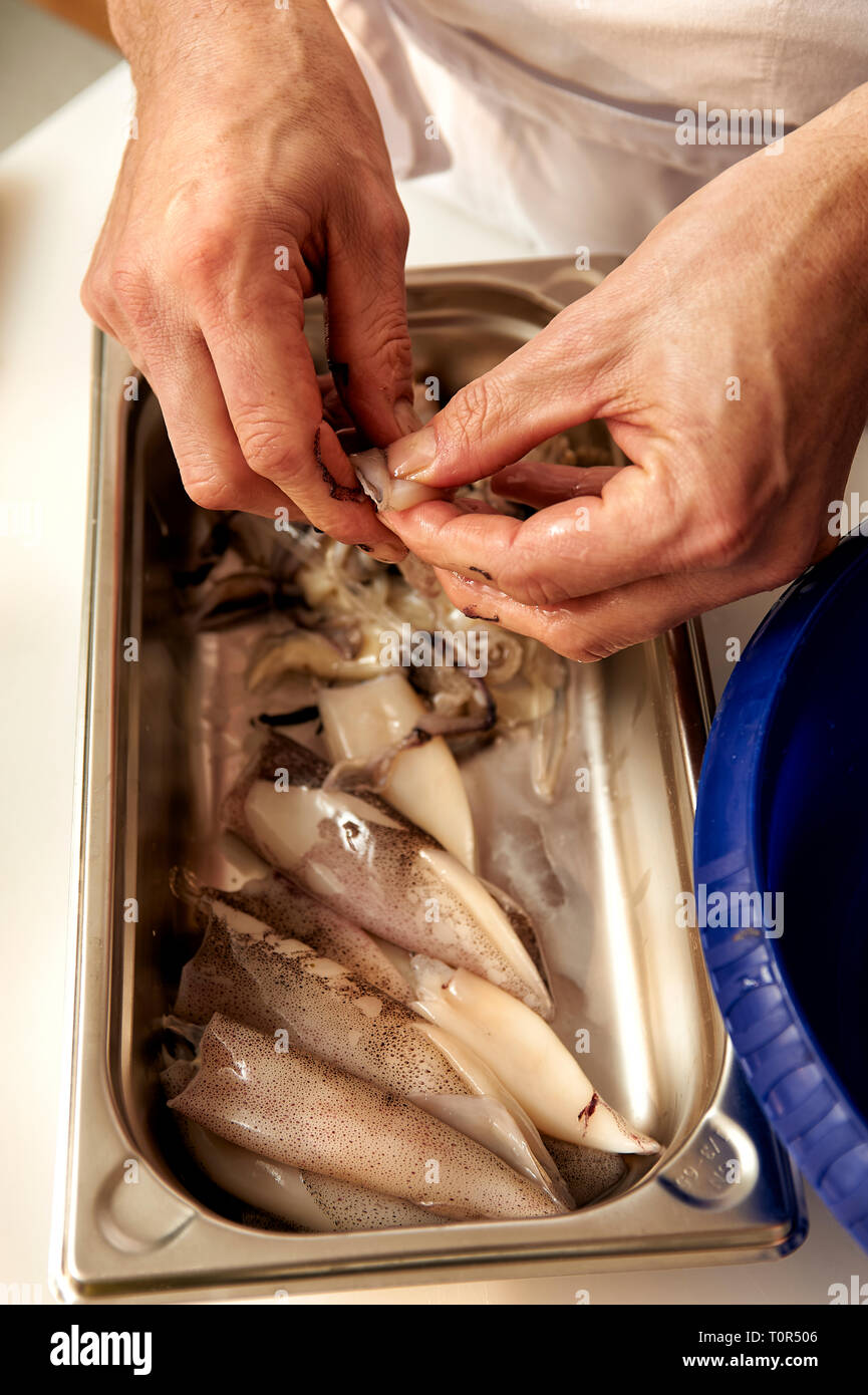 Octopus wird von einem Koch fuer die Weiterverarbeitung gesaeubert und vorbereitet. Seine beiden Haende sind bei der Arbeit zu sehen. Stock Photo