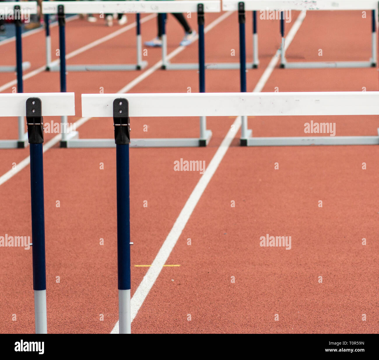 Hurdles are set up for races on an indoor red track Stock Photo Alamy