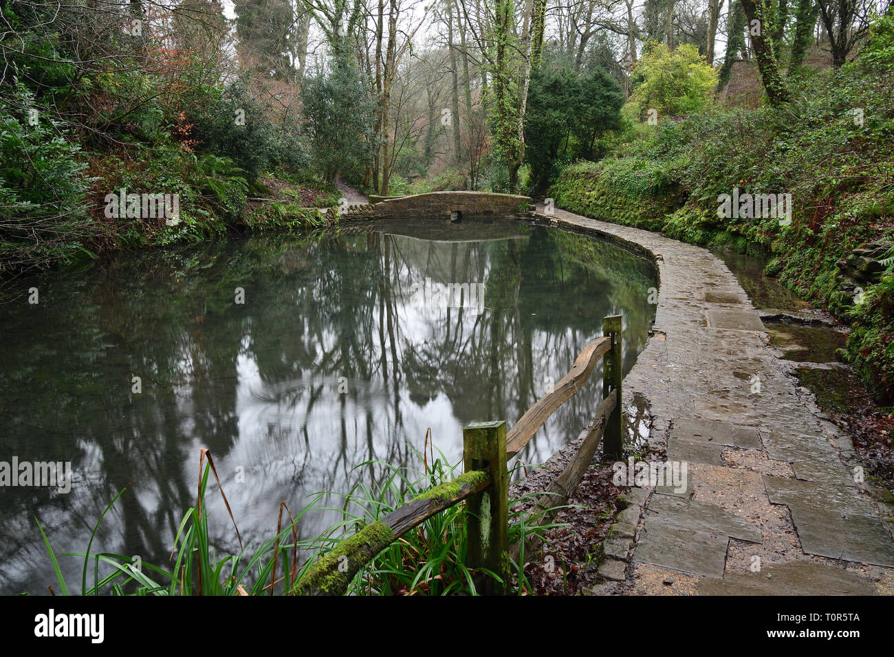 Ninesprings park in yeovil hires stock photography and images Alamy