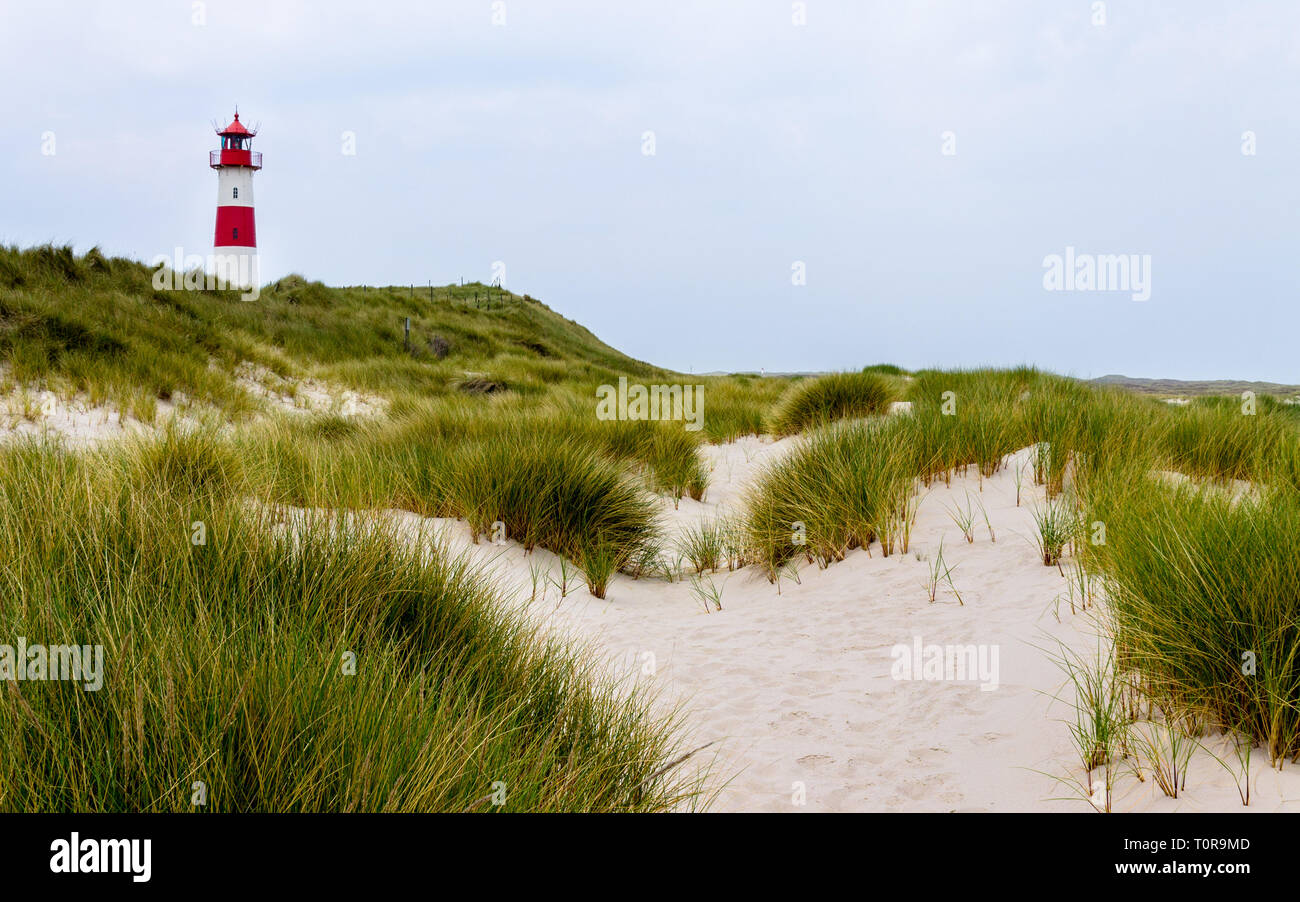 Lighthouse List-Ost inside a Dune Landscape with grass and sand. Panoramic view on a clear day. Located in List auf Sylt, Schleswig-Holstein, Germany Stock Photo