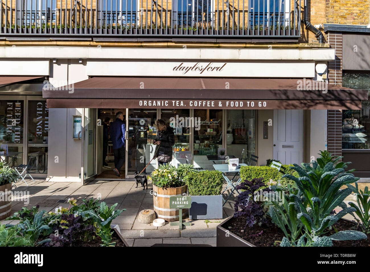 A woman with her dog outside Daylesford Organic food shop on Pimlico Road,Belgravia, London, UK Stock Photo