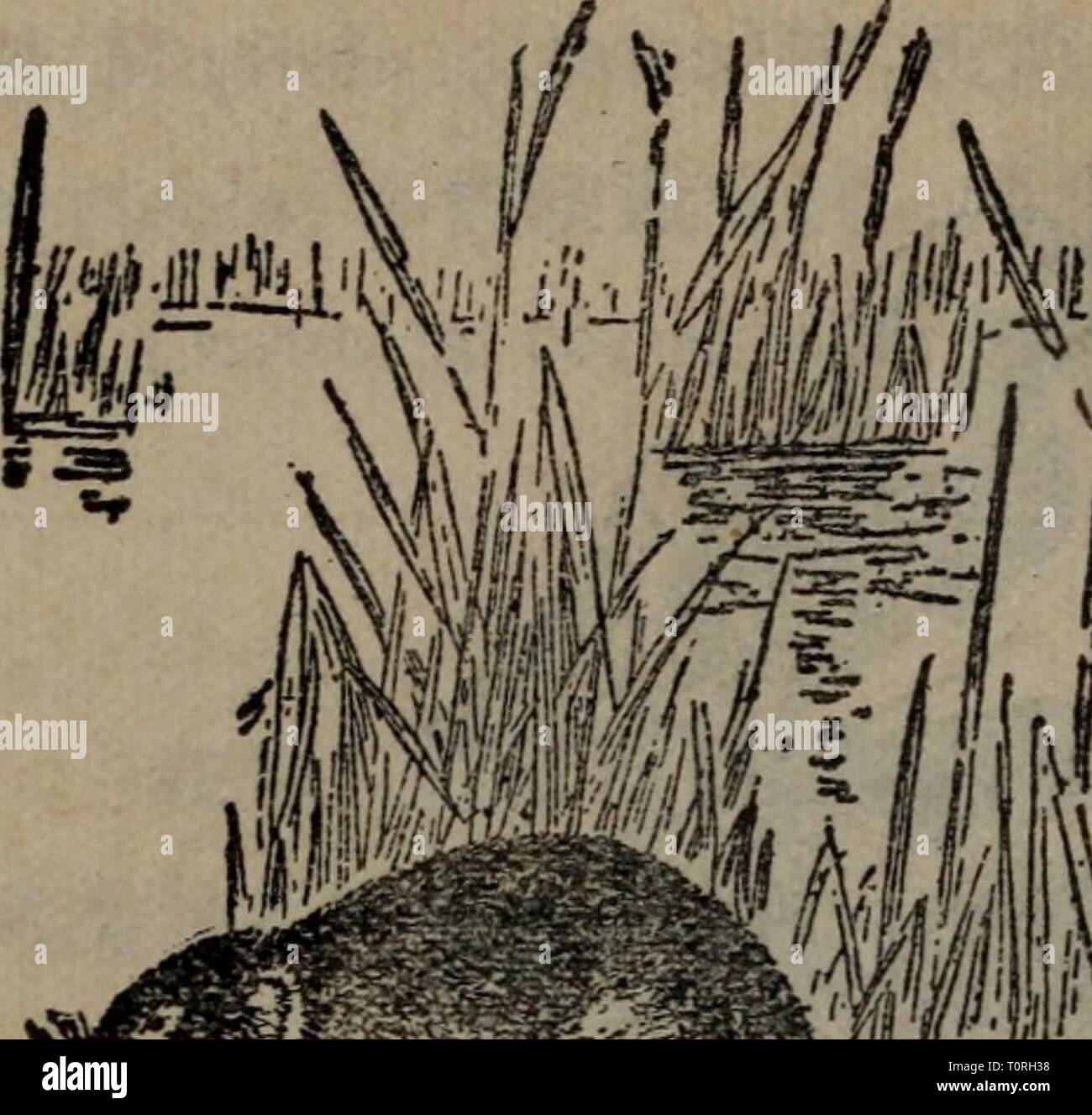 Page 2 Ae Ae E High Resolution Stock Photography And Images Alamy