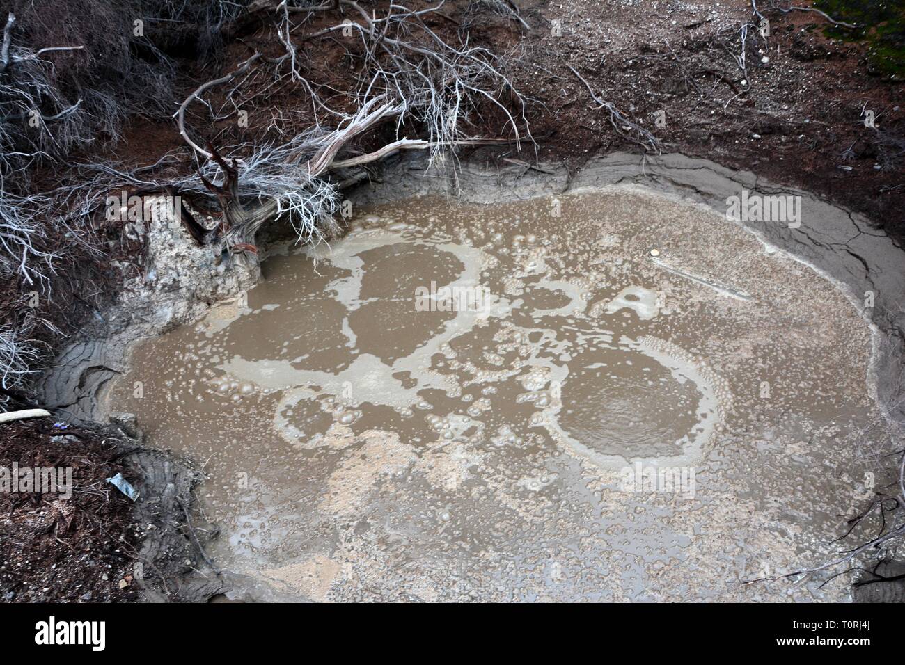 hot mud
