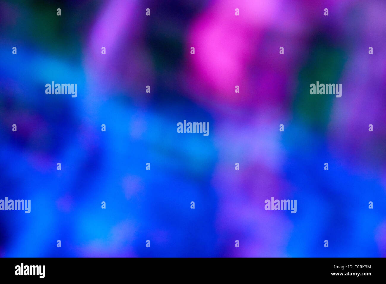 defocused and blurred colour leds Stock Photo