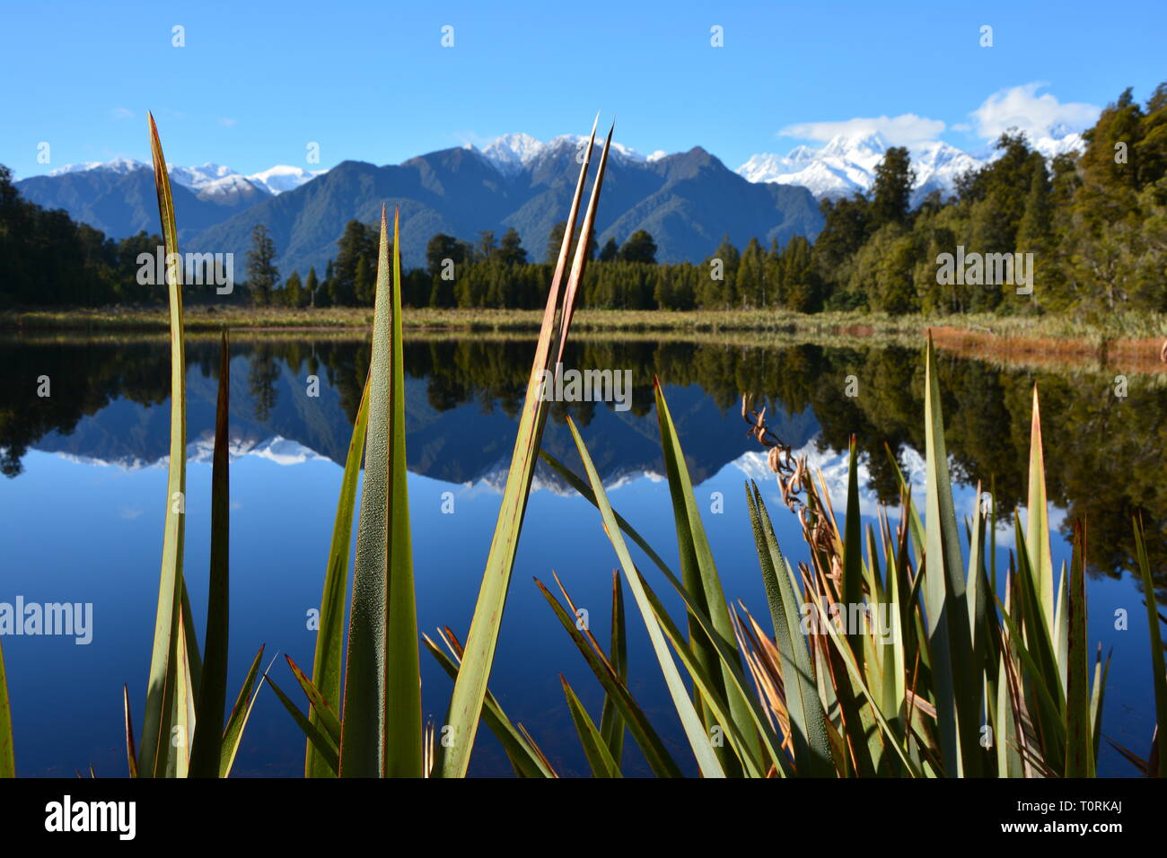 Lake Matheson Mirror Lake, New Zealand Stock Photo
