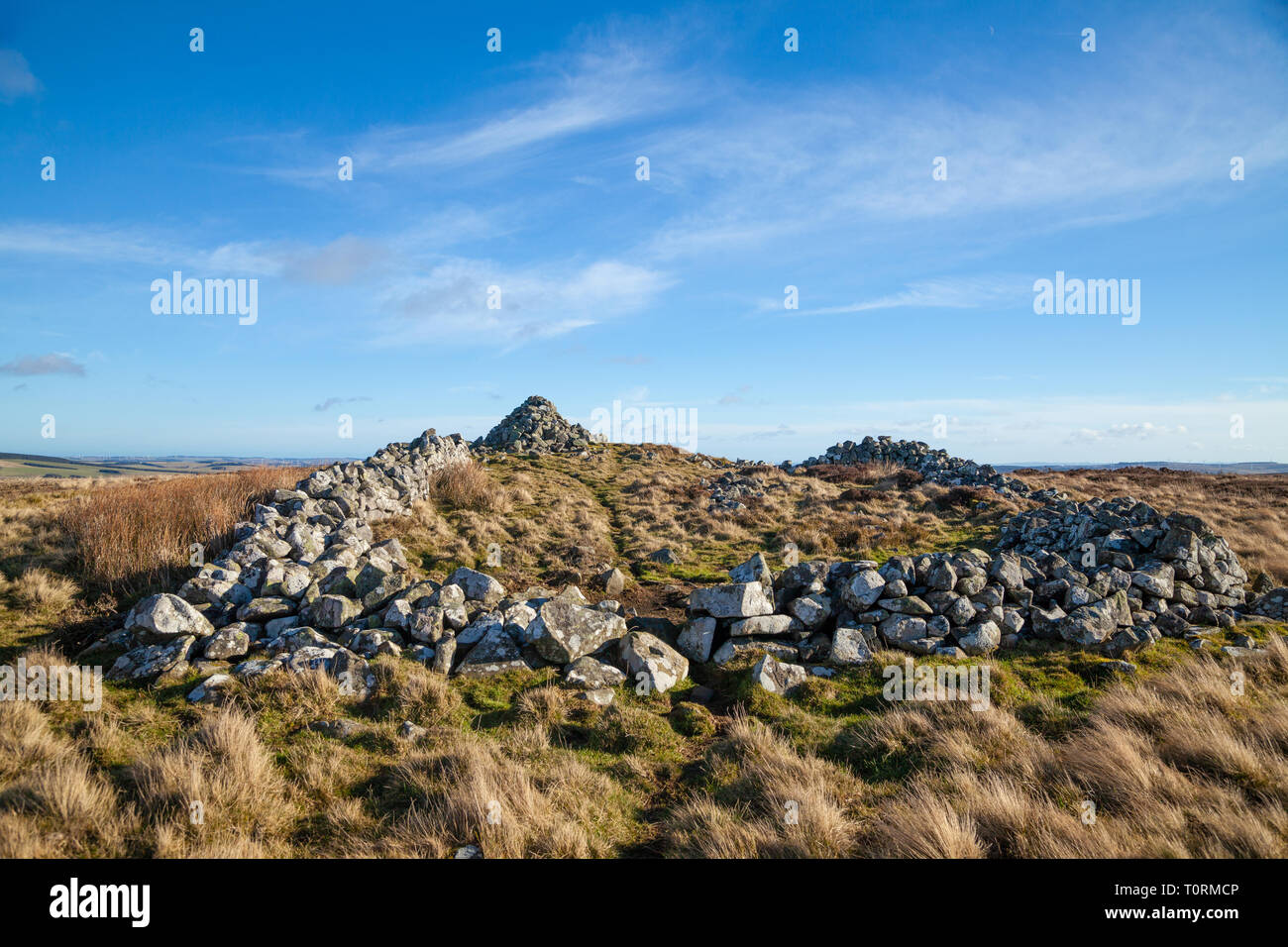 The summit of Priestlaw Hill in the Lammermuirs, East Lothian Scotland. Stock Photo