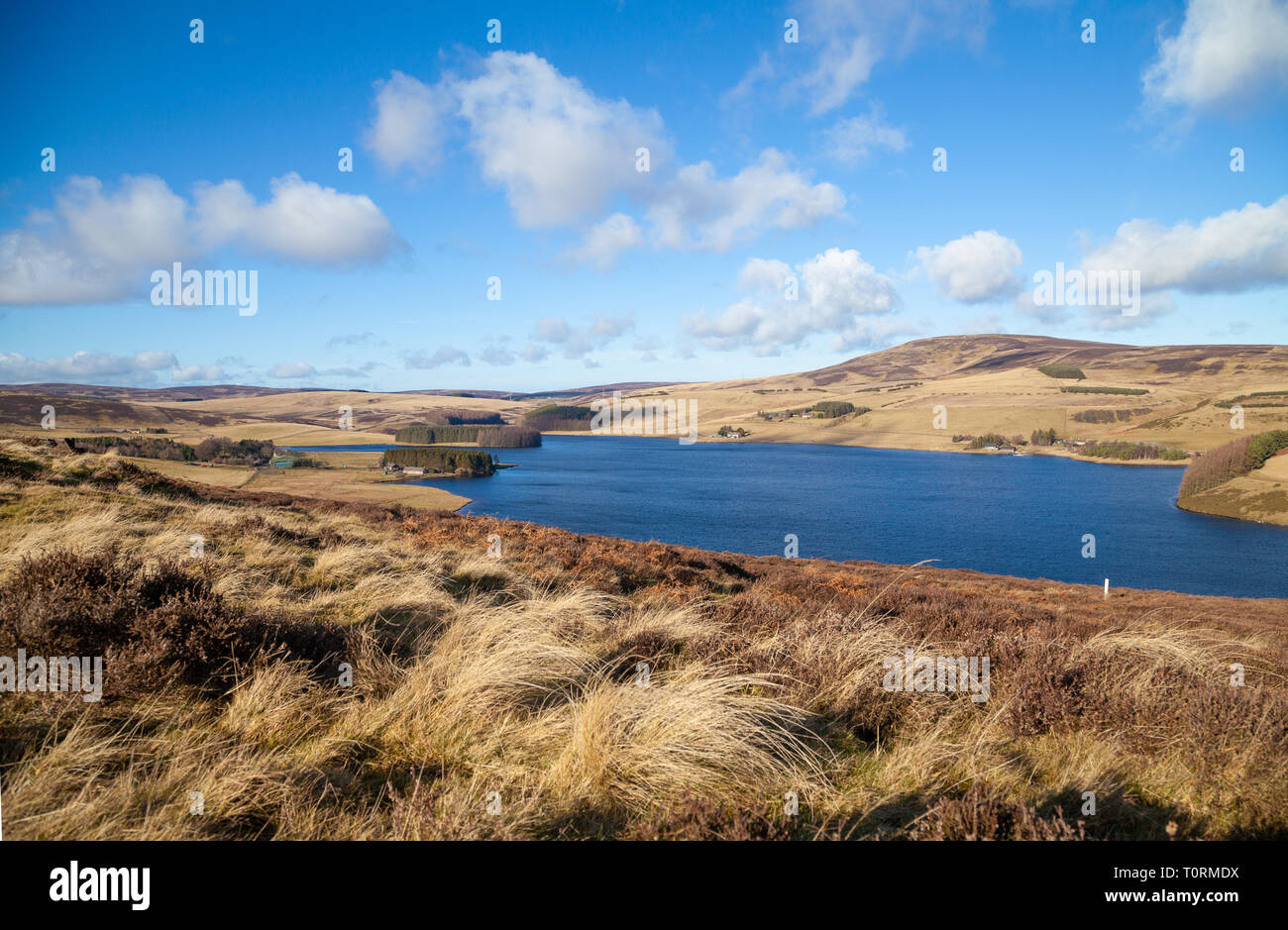 Whiteadder Reservoir is a reservoir in East Lothian, Scotland, UK Stock