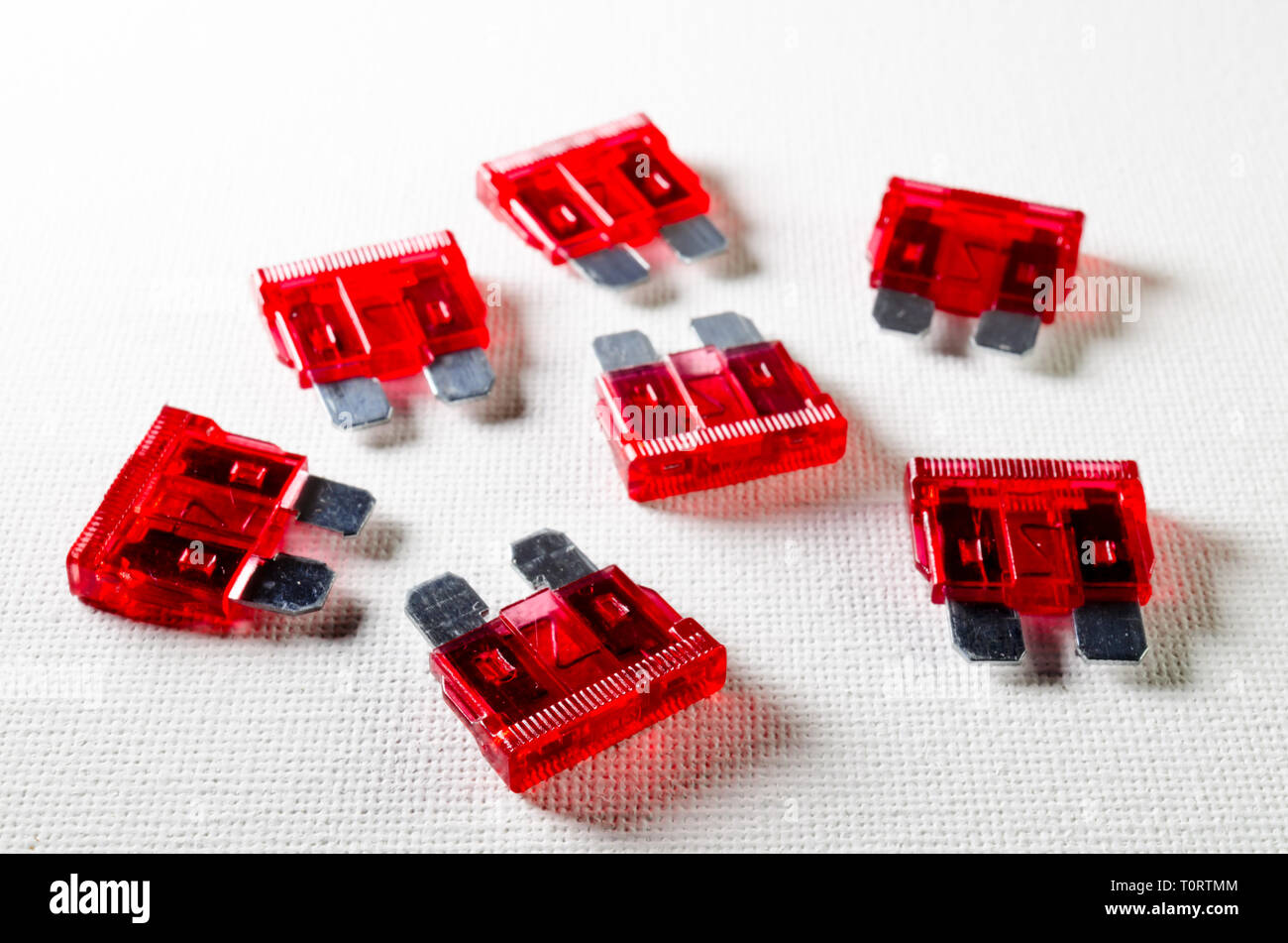 A Studio Photograph of Red 10 Amp Automotive Fuses Stock Photo