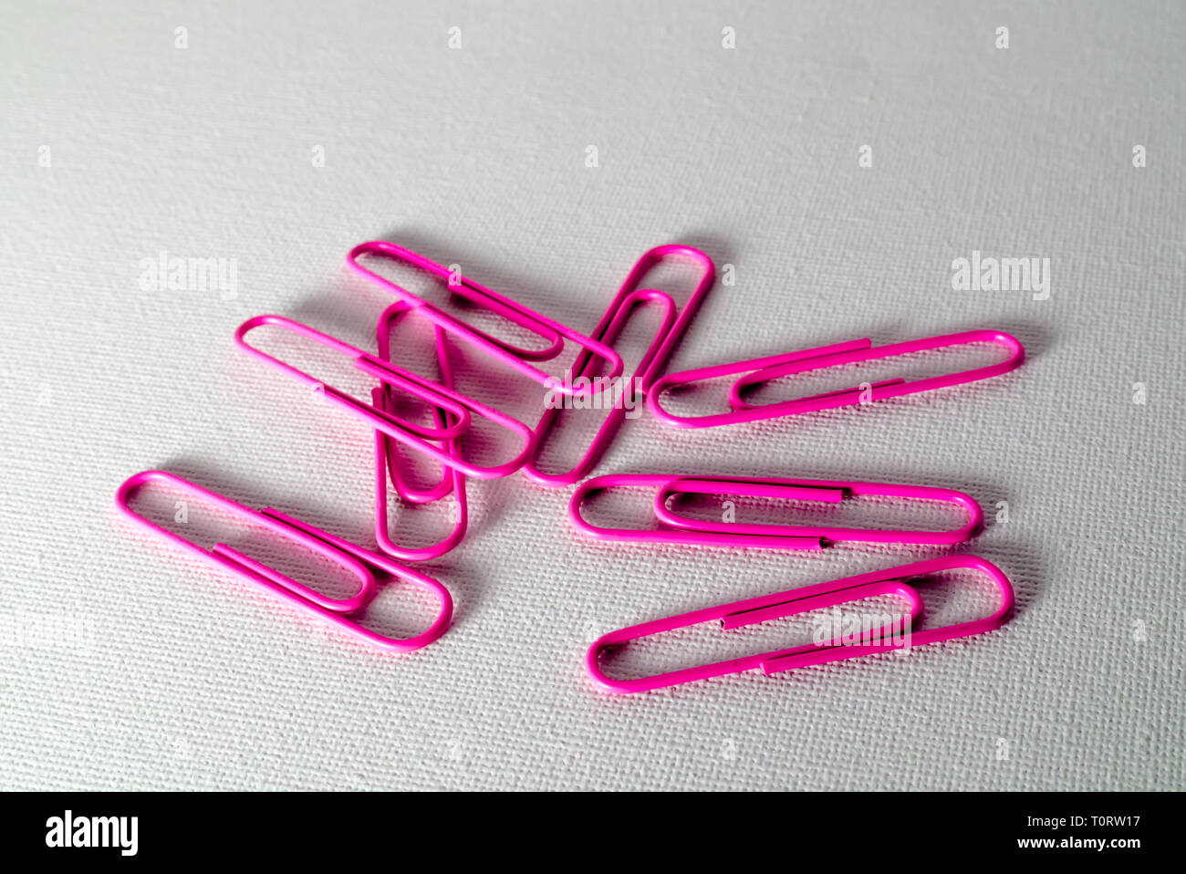 A Studio Photograph of Pink Paperclips Stock Photo