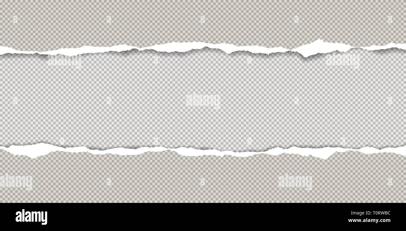 Torn squared grey horizontal paper strips with space for text. Vector illustration background Stock Vector