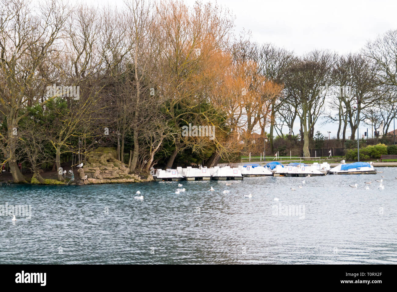Boats Moored on the Lake at South Marine Park, South Shields Stock Photo
