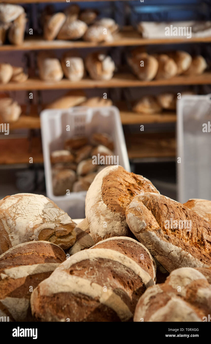 Some freshly baked loaves on the bakery counter. Shelves and baskets