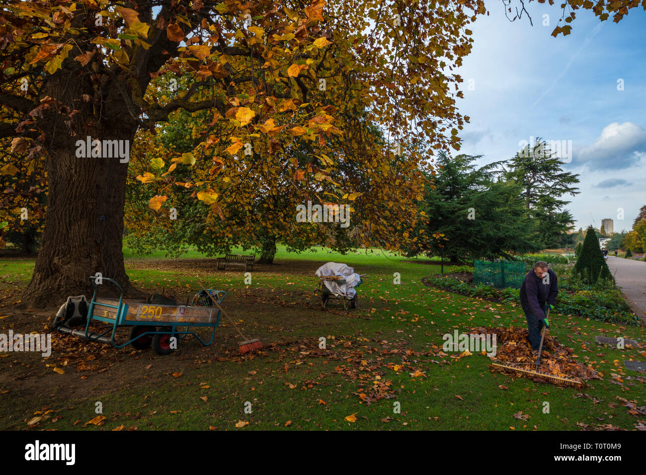 A gardener at the Royal Botanic Gardens, Kew Stock Photo Alamy