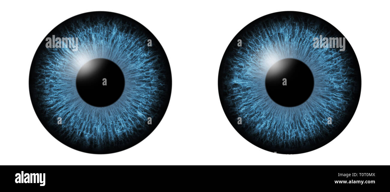 Detail macro illustration of two blue eyes iris Stock Photo