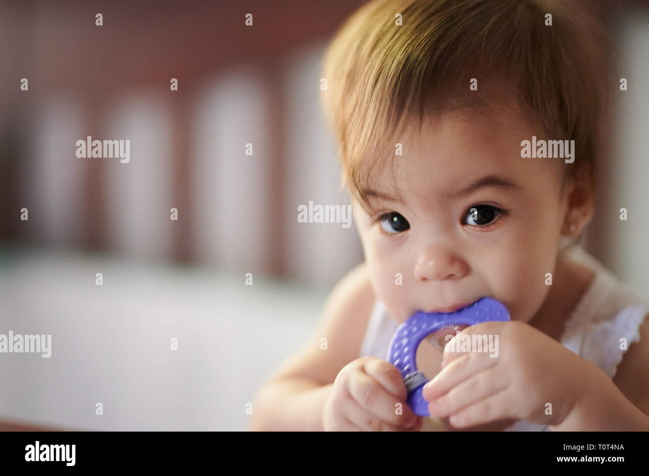 Small kid with itchy teeth biting plastic purple toy Stock Photo