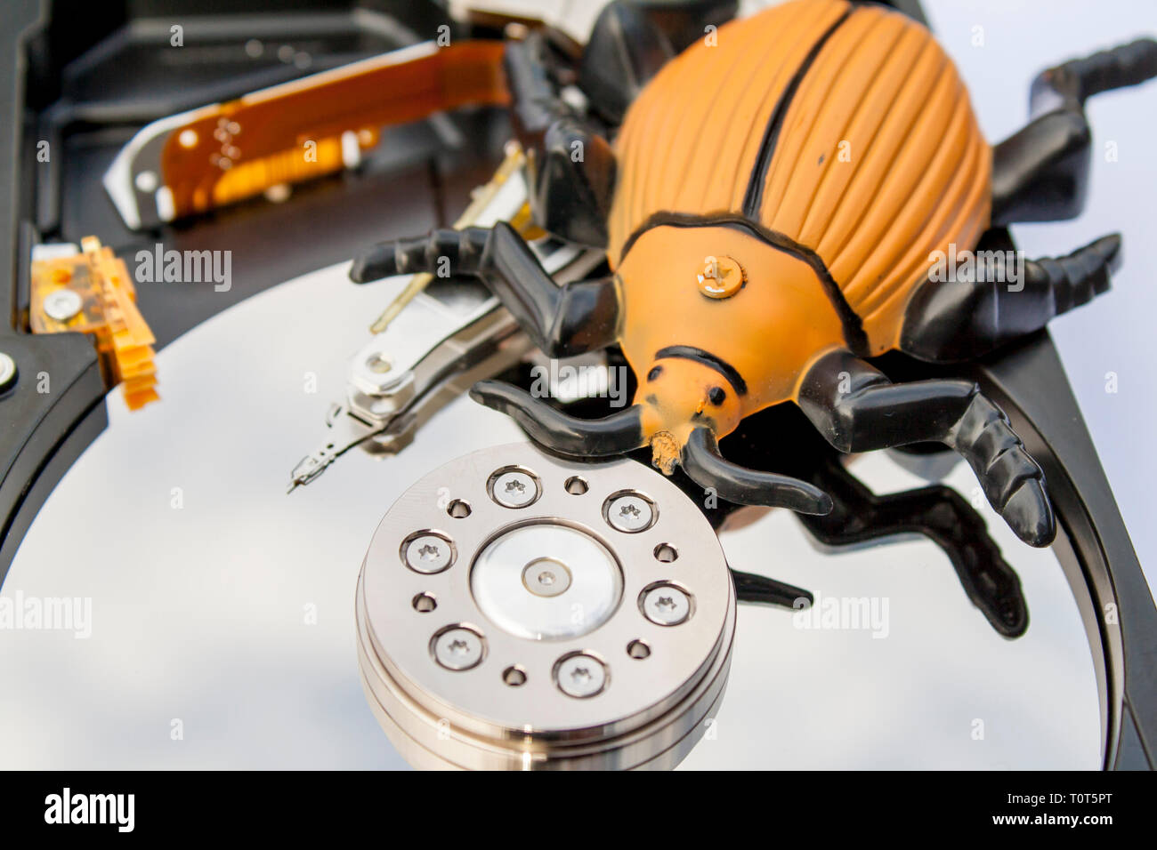 computer bug Stock Photo