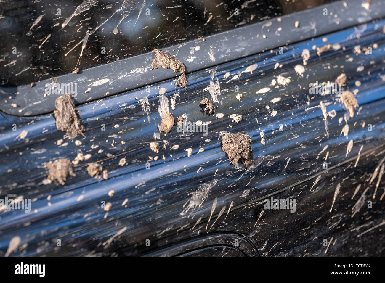 very dirty offroad car covered in mud in sunny forest Stock Photo Alamy