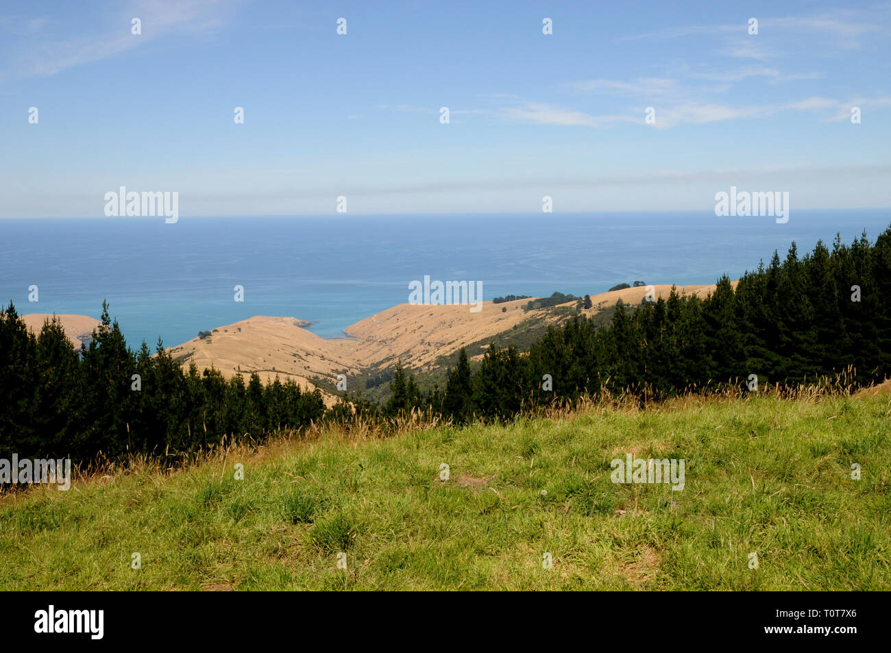 The trail down to Te Oka Bay on the Banks Peninsula on New Zealands South Island, near Christchurch. Stock Photo