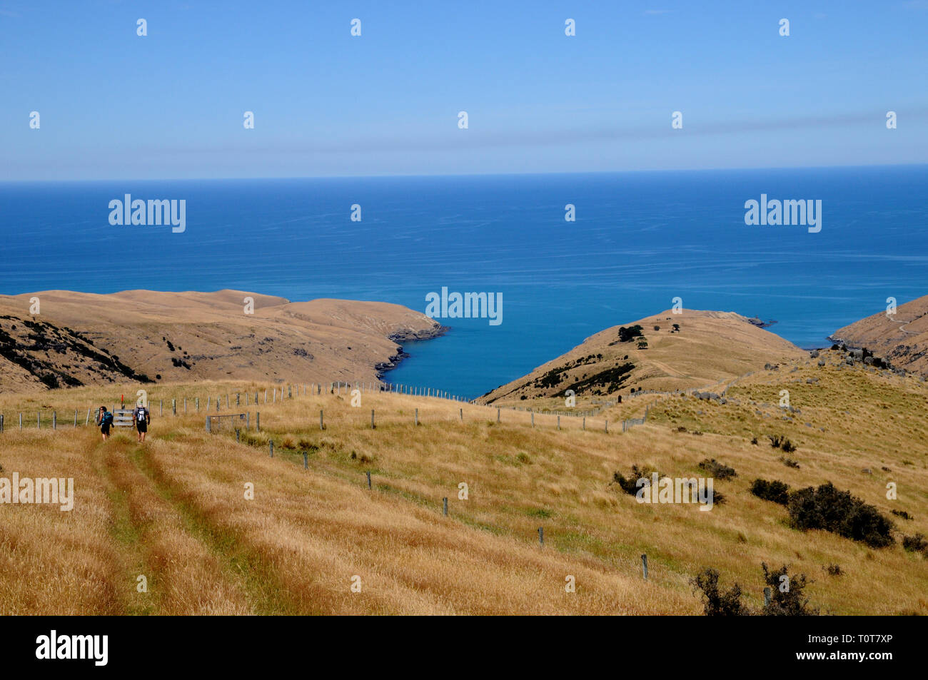 The trail down to Te Oka Bay on the Banks Peninsula on New Zealands South Island, near Christchurch. Stock Photo