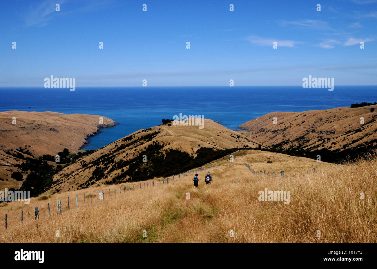 The trail down to Te Oka Bay on the Banks Peninsula on New Zealands South Island, near Christchurch. Stock Photo