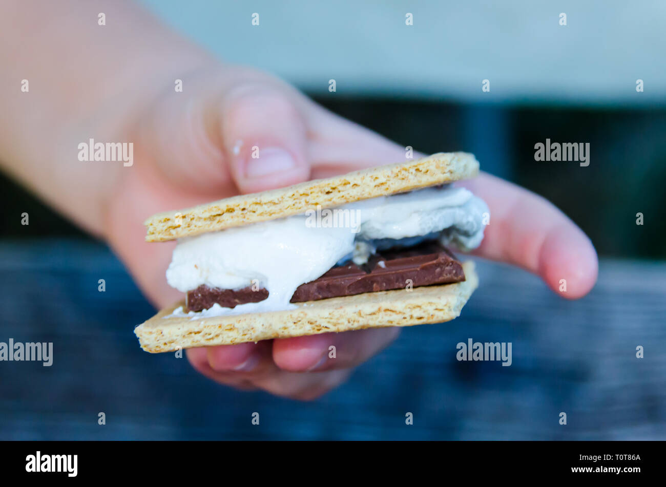 Smore's, a delicious sweet treat with roasted marshmallow, graham cracker and chocolate. Young child's hand holding a smore that was fixed outdoors. Stock Photo
