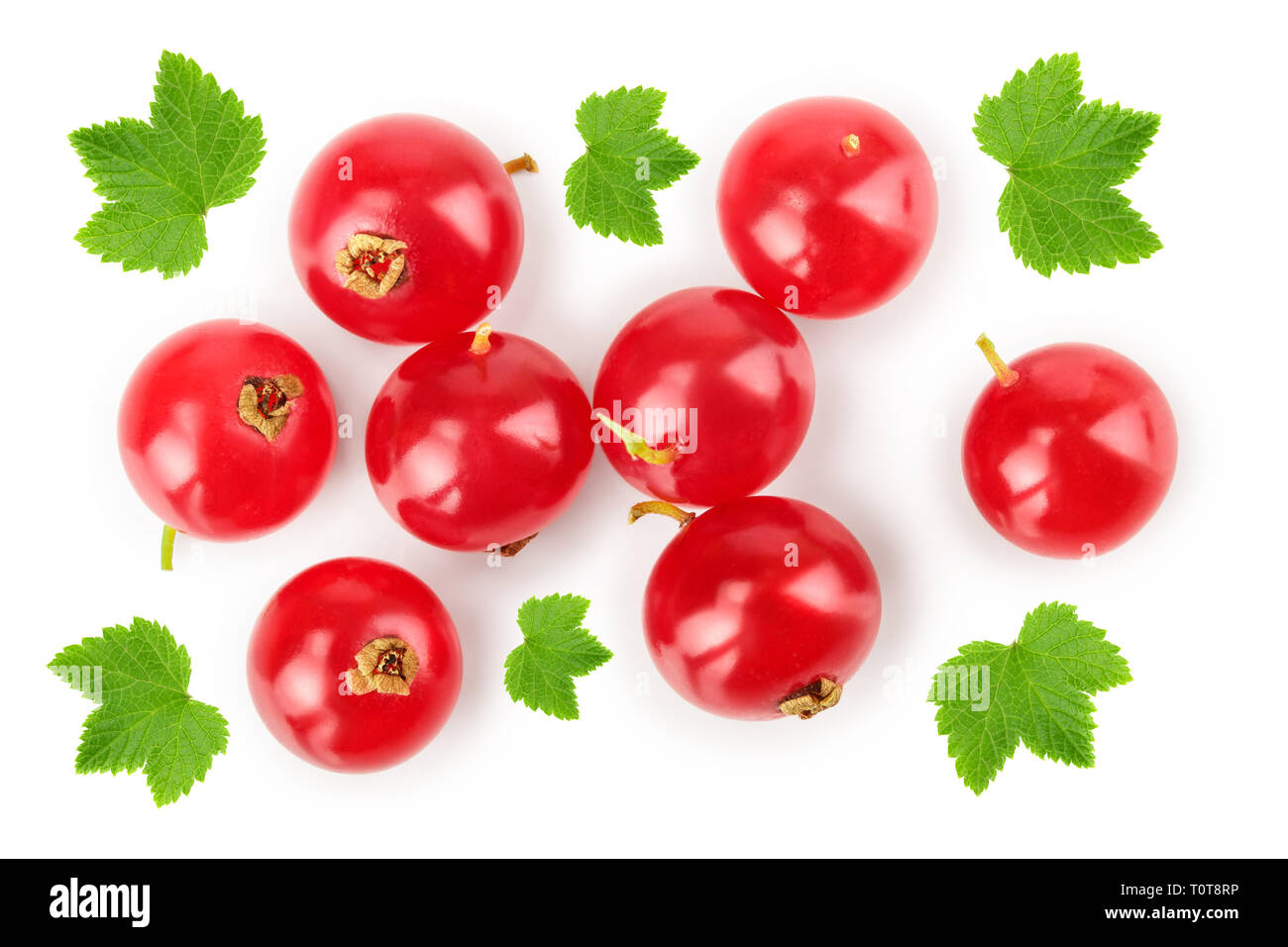 Red currant berry isolated on white background. Top view. Flat lay pattern. Stock Photo