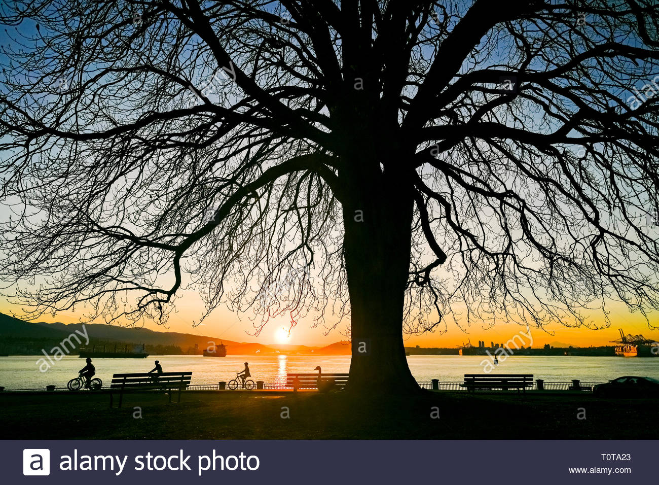 Cyclists At Sunrise Brockton Point Stanley Park Vancouver