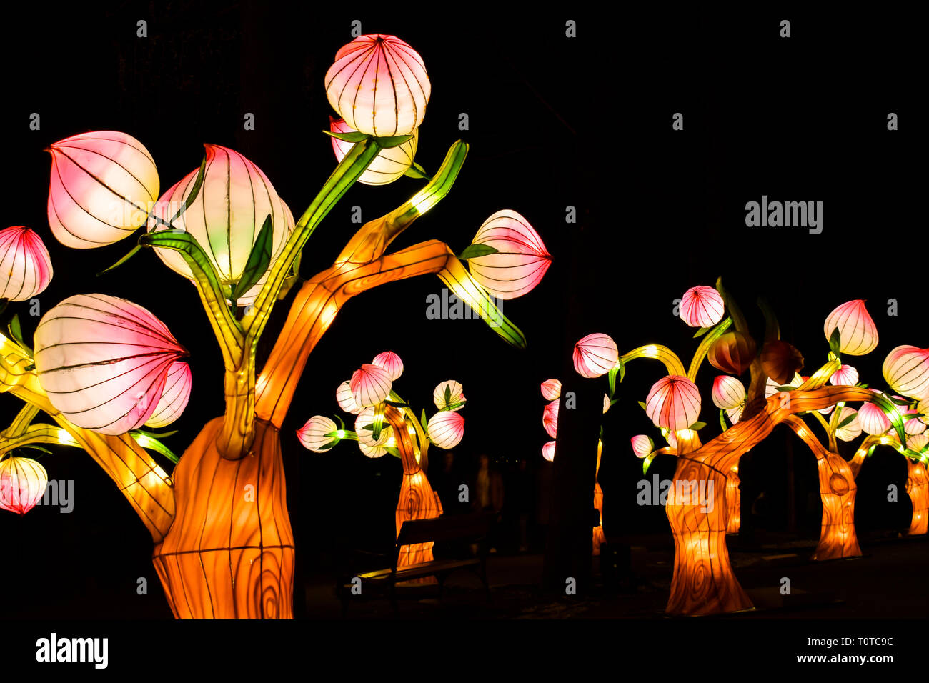 Glowing flowers art installation in Zagreb, Croatia during festival of lights Stock Photo