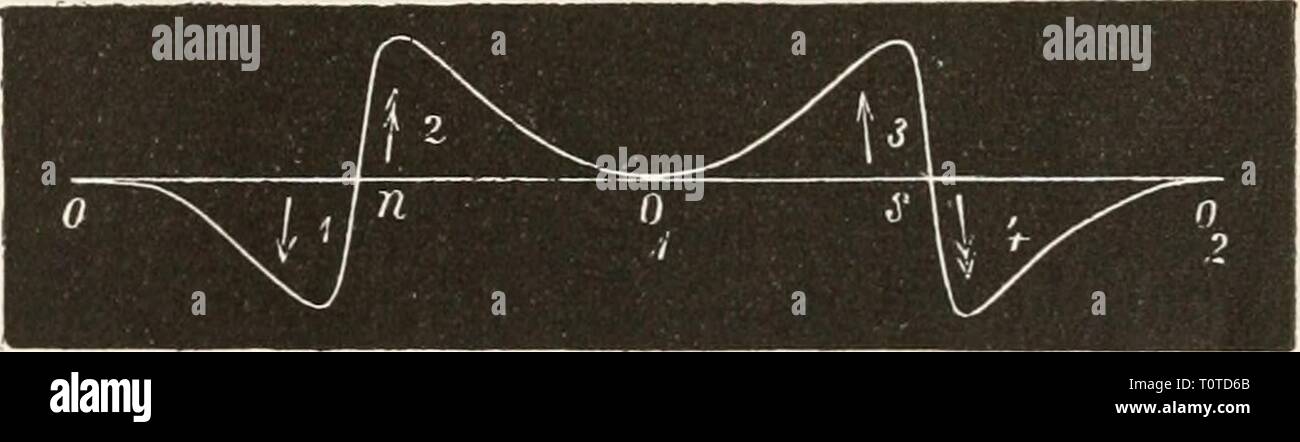 Elektrophysiologie (1895) Elektrophysiologie  elektrophysiolog00bied Year: 1895  Fig. 176. (Nach Grützner.J 175. vertikale Axe vor der primären, von einem constanten Strom durch- flossenen Rolle rotiren, wobei ganz gleichartige Inductionsströme ent- stehen müssen, da bei senkrechter Stellung der Gewinde die inducirende Wirkung gleich Null ist, während zwischendurch bestimmten Stellungen der Spiralen auch bestimmte Inductionsströme entsprechen. Grützner (12) untersuchte hierauf die physiologische Wirkung der Ströme einer Stöhrer'schen Maschine, bei der sich zwei Drahtspulen mit Eisenkernen vor  Stock Photo