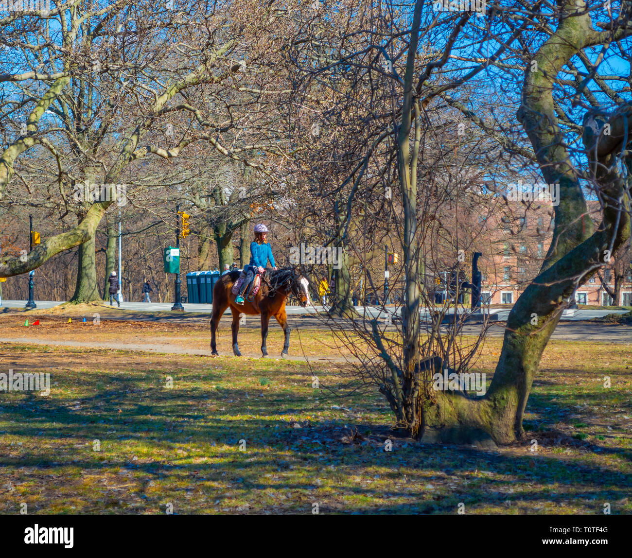 Young girl is having a lesson of horse riding at prospect park in New