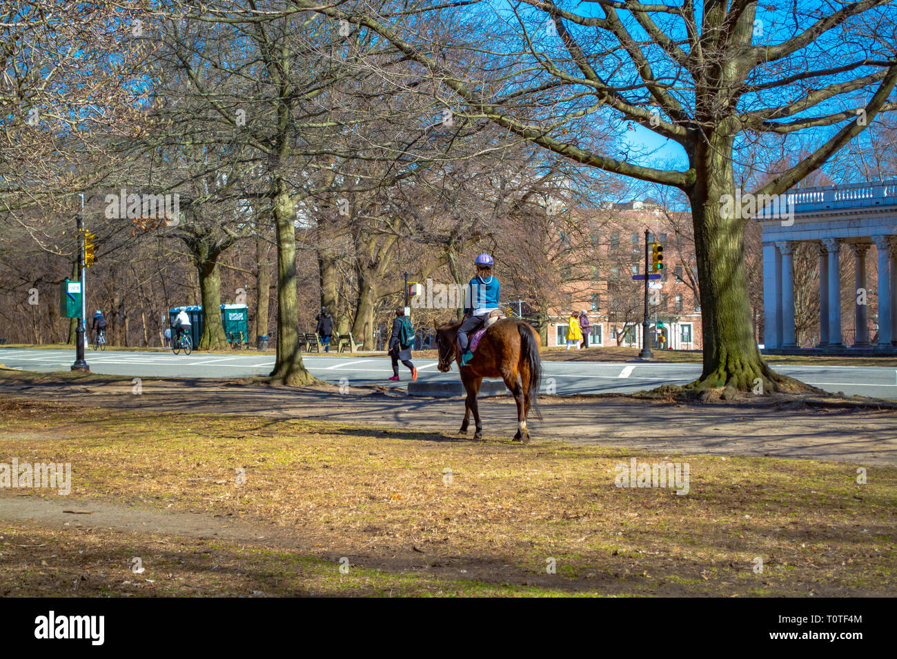 Young girl is having a lesson of horse riding at prospect park in New