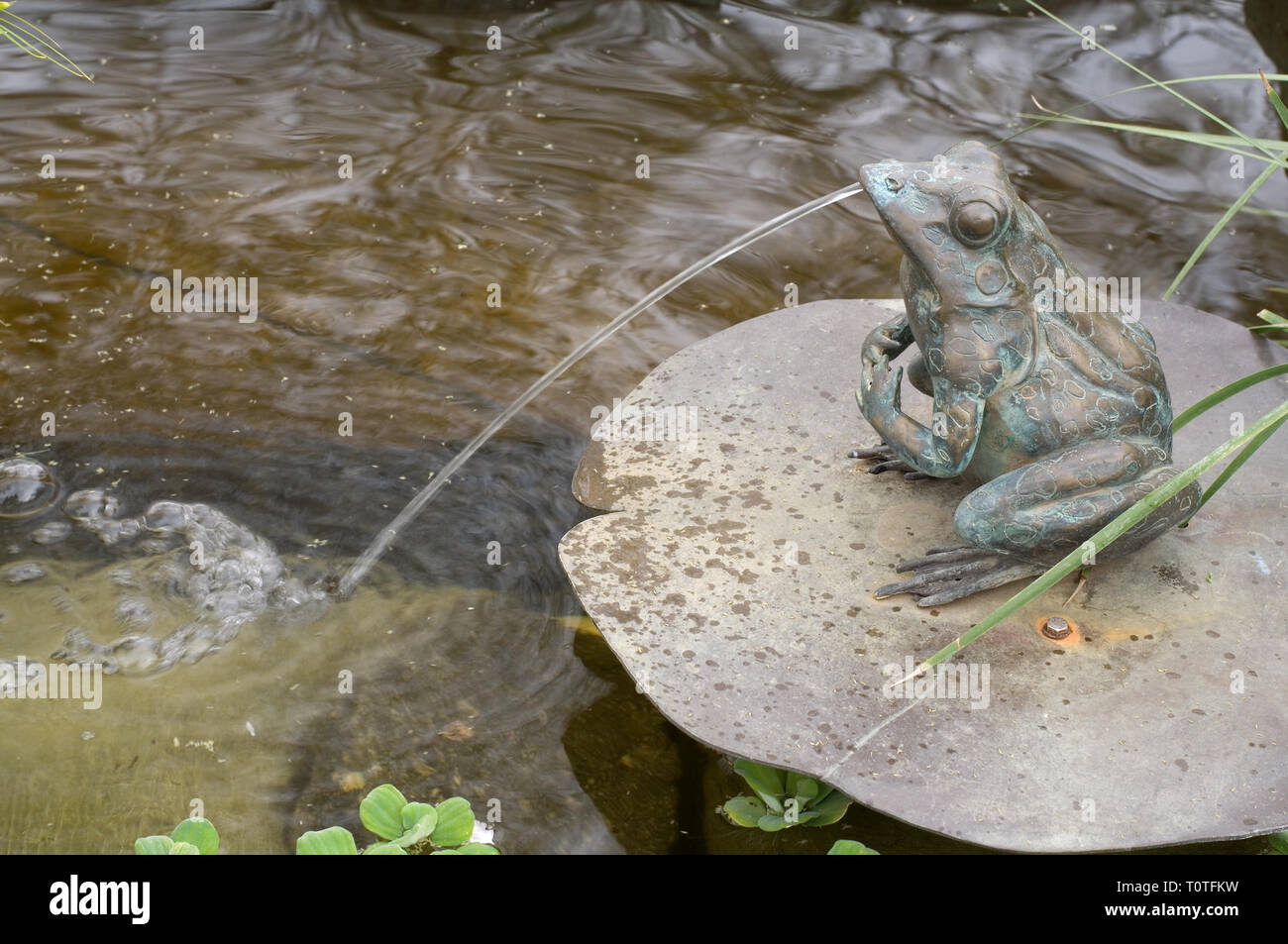 Frog Water Fountain Landscape Ornament Spitting Water Stock Photo Alamy