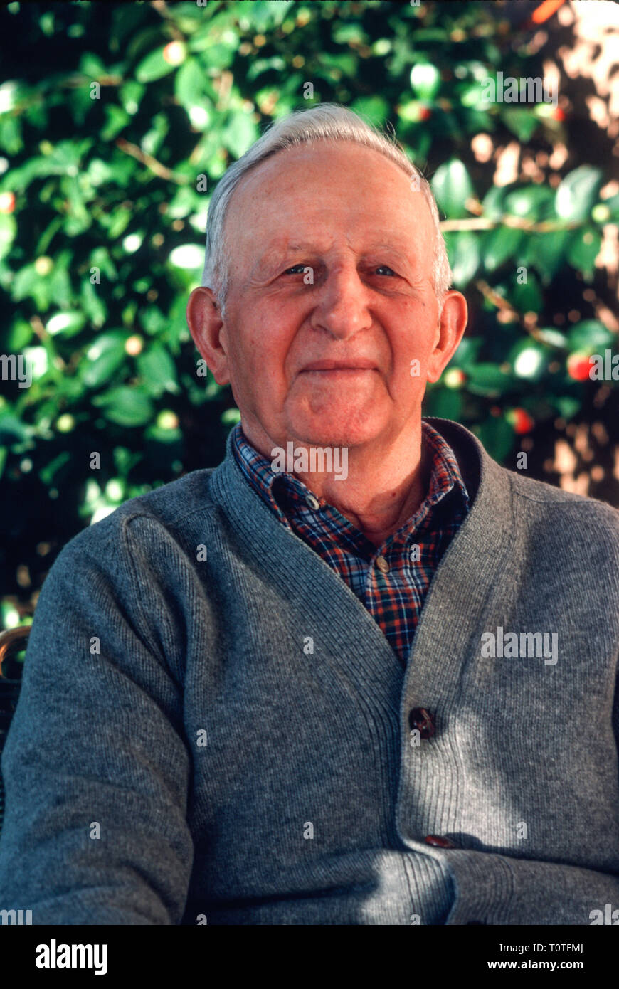 Happy Elerly Man Looking at Camera. USA Stock Photo