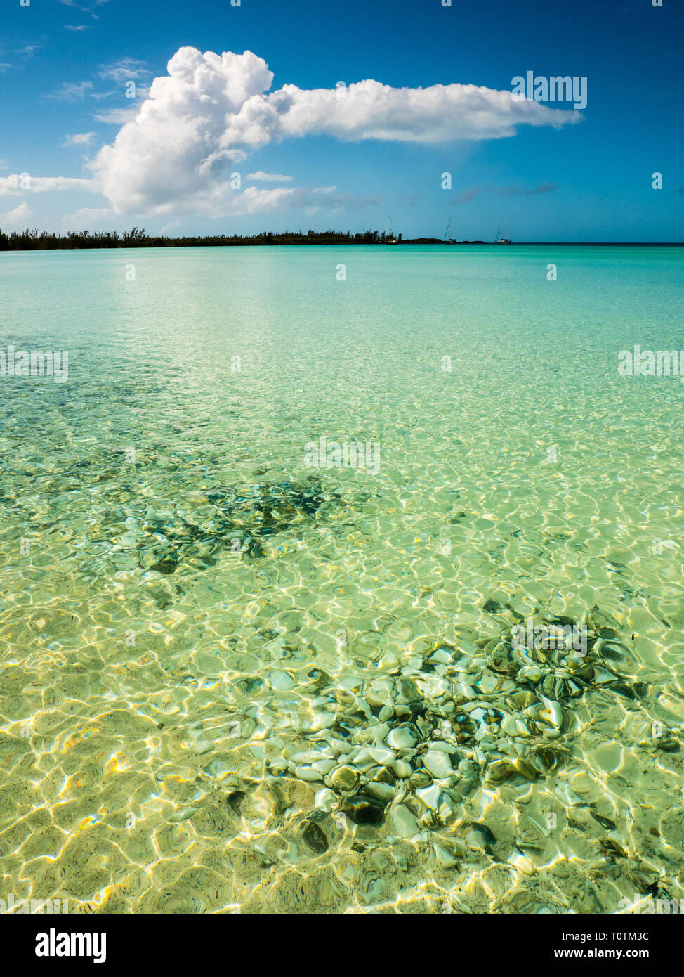 Underwater Sea Shells, Bahamas Beach Landscape, Cocodimama, Governors Harbour, Eleuthera, Bahamas, The Caribbean. Stock Photo