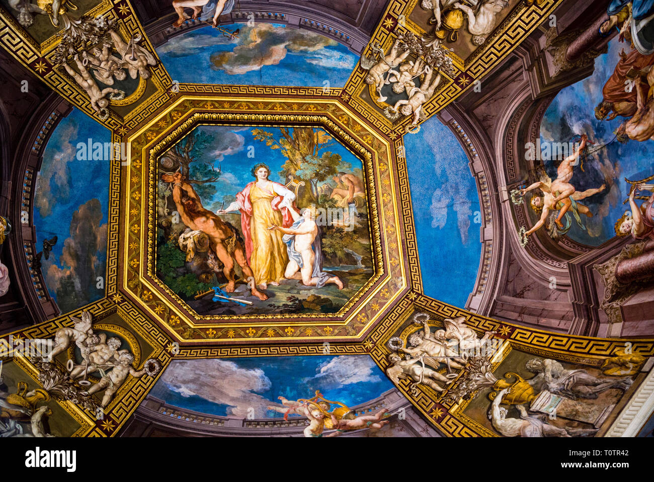 Ceilings Of The Vatican Museum Rome Stock Photo 241490146 Alamy