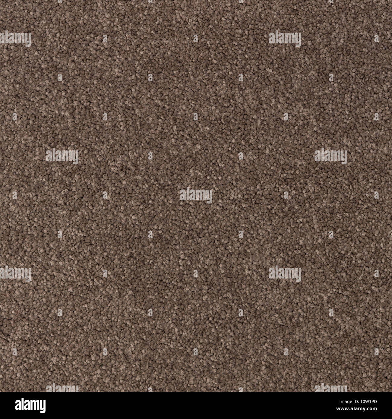 Texture of coloured carpet with short pile Stock Photo Alamy