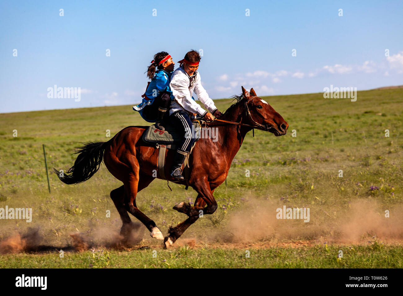 horse-and-two-riders-at-an-obo-nadam-festival-horseriding-show-at-the-gegentala-grasslands-north-of-hohhot-in-inner-mongolia-china-T0W626.jpg