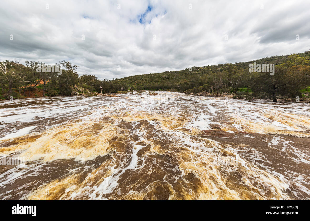 The Swan River in full flow at Bells Rapids after very heavy rain Stock Photo