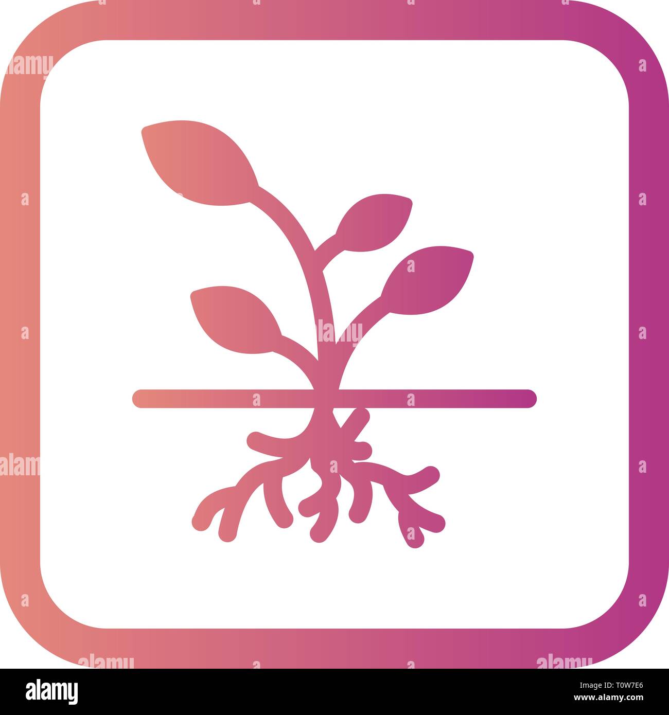 Illustration Root Icon Stock Photo - Alamy