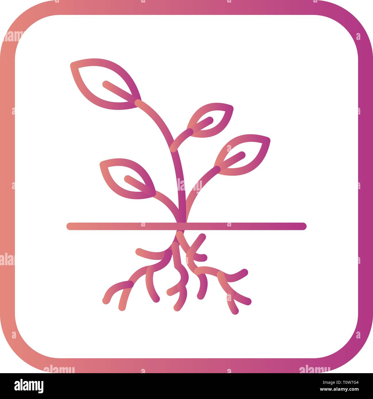 Illustration Root Icon Stock Photo - Alamy